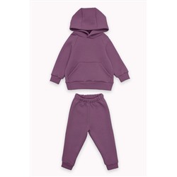 Костюм с брюками футер начёс Малинка 20338 НАТАЛИ, 1086559