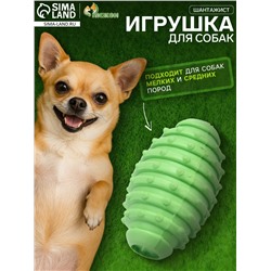 Игрушка жевательная «Шантажист», TPR, 10 см, зелёная