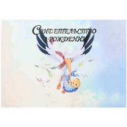 Папка адресная Свидетельство о рождении А4 "Аист" (пухлая) СРЛ4001-5114н ламинированная ПОЛИГРАФДРУГ