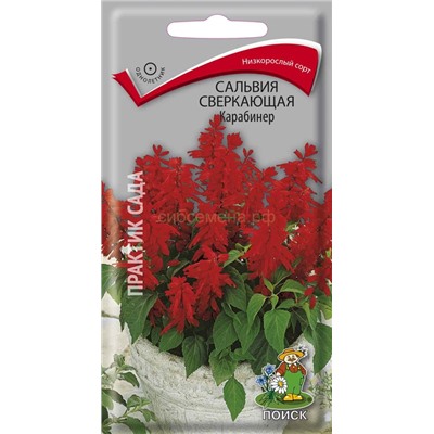 Сальвия Карабинер (одн) (П)