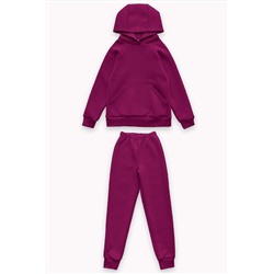 Костюм с брюками футер начёс Николь 40000 НАТАЛИ, 1112274