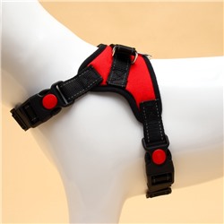 Шлейка К7 мягкая светоотражающая, размер S, ОГ 44-55 см, вес 5-9 кг, красная