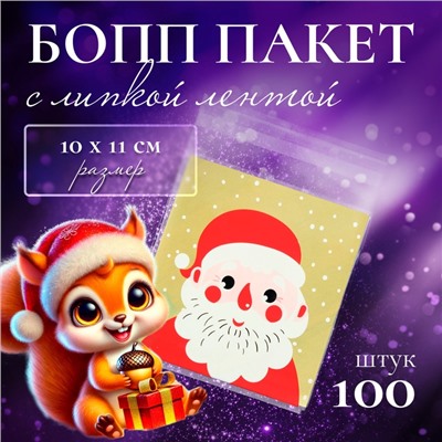 Пакет подарочный новогодний БОПП с липкой лентой, «Портрет», 10×11 см