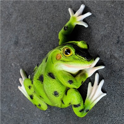 Садовая фигура из полистоуна «Лягушка», подвесная, 6×16×18 см