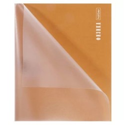 Тетрадь 48л с пластиковой обложкой "ПРО стиль" по физике (085425) 31091 Хатбер