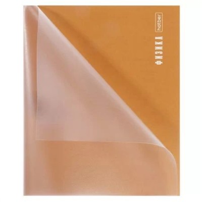 Тетрадь 48л с пластиковой обложкой "ПРО стиль" по физике (085425) 31091 Хатбер