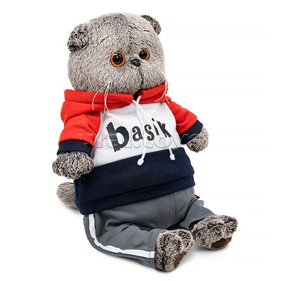 Кот Басик в костюме в стиле спорт-шик