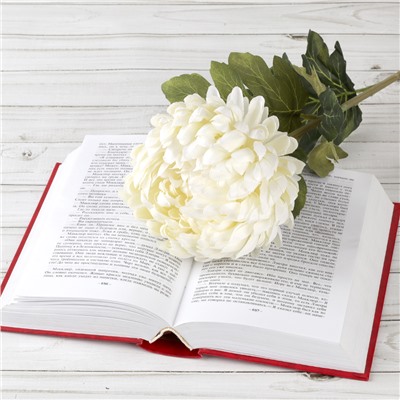 Цветок искусственный Хризантема 73 см Белый / GT41-7 /уп 300/