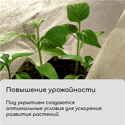 Материал укрывной, 5×3.2 м, плотность 42 г/м², спанбонд с УФ-стабилизатором, белый, Greengo, Эконом 30%