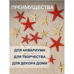 Набор натуральных морских звезд, 1,5 - 2,5 см, 20 шт, красные - белые