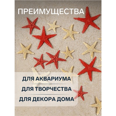 Набор натуральных морских звезд, 1,5 - 2,5 см, 20 шт, красные - белые