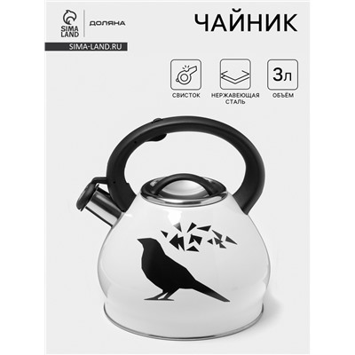 Чайник Доляна «Свиристель», 3 л, со свистком, нержавеющая сталь, голубой