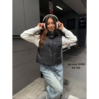 Жилет #23073376