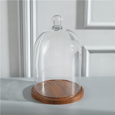 Стеклянный купол-клош с шариком на подставке «Родрик», 27×15 см, коричневый