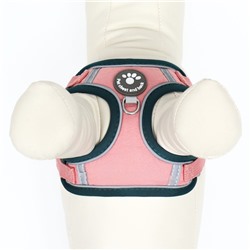 Комплект Sport+, XS, поводок 120×1.5 см, ОШ 37-39 см, ОГ 41-46 см, вес животного 4-6 кг, розовый