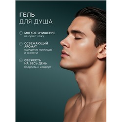 Подарочный набор мужской DREAM NATURE SPA CARE «Сила льда», шампунь 500 мл, гель для душа 500 мл