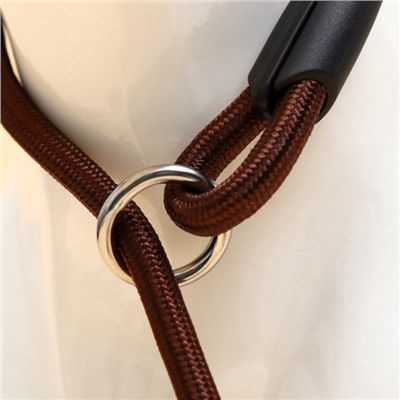 Ринговка для собак, 130×0.6 см, коричневая