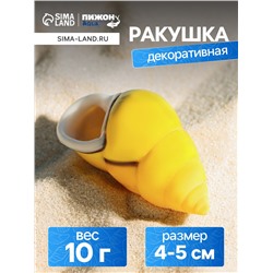 Ракушка декоративная, 4-5 см