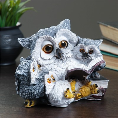 Копилка для денег «Сова с совятами и книгой», 17×15 см