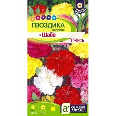 Гвоздика Шабо смесь (Алтай)