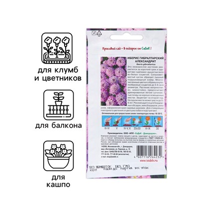 Семена цветов Иберис "Александрит", Евро, 0,1 г