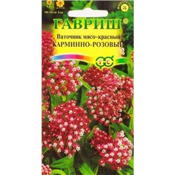 Ваточник Карминно-розовый (Код: 85665)