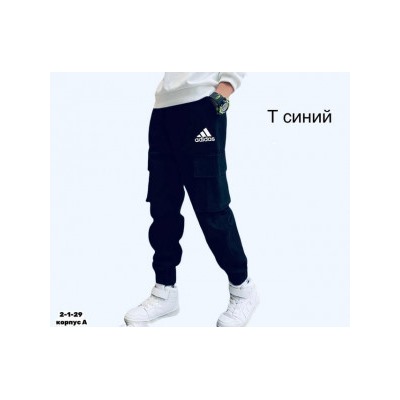 Спортивные брюки #22408851