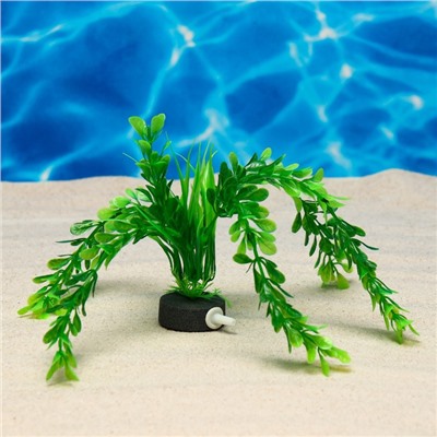 Растение искусственное