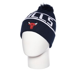 Шапка Sport LJ-957 Bulls