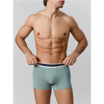 ТРУСЫ МУЖСКИЕ (3ШТ) 411228-3