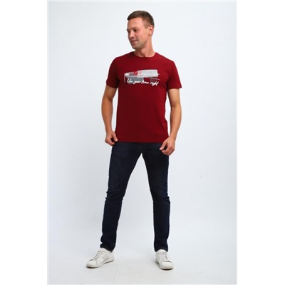 Футболка мужская 058 (Бордовый)