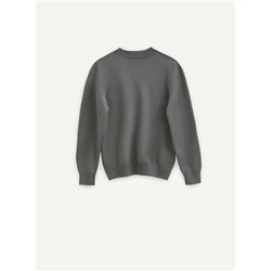 Джемперы ESLI Джемпер для мальчика 24С-14СП