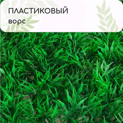 Декоративная панель, 60×40 см, «Аспарагус», Greengo
