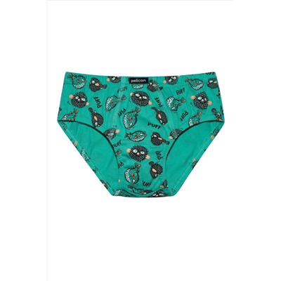 Набор трусов для мальчиков PELICAN, 1232790