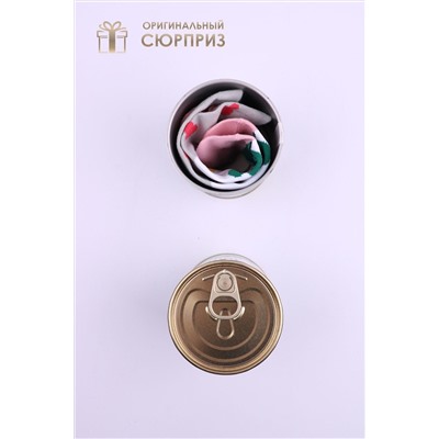 Носки стандарт №GL799 С лягушкой НАТАЛИ, 1060911
