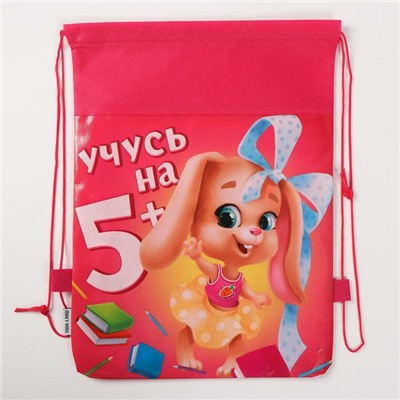 Мешок для обуви «Учусь на 5+» (нетканый материал) 41×30 см