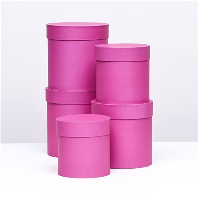 Набор шляпных подарочных коробок 5 в 1 «Фуксия однотонный»,20×20×20‒11×11×11 см