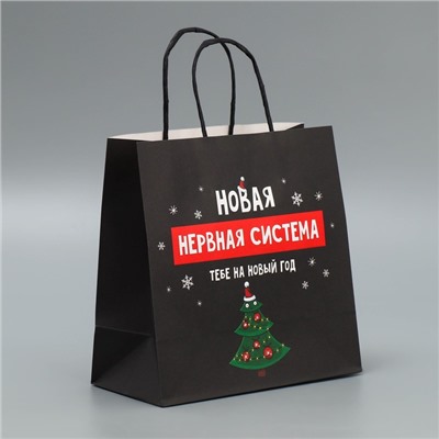 Пакет подарочный новогодний крафтовый «Нервы», 22×22×11 см