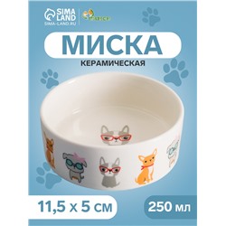 Миска керамическая «Важный пес» 250 мл - 11.5×11.5×5 см, белая