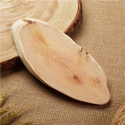 Подставка под горячее «Обычная, слэб», 8×20 см, можжевельник