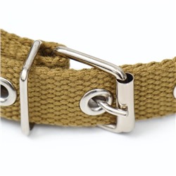 Ошейник брезентовый однослойный, 52×2 см, песочный