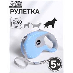 Рулетка DIIL, 5 м, до 40 кг, лента, прорезиненная ручка, голубая, серая
