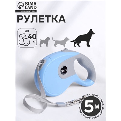 Рулетка DIIL, 5 м, до 40 кг, лента, прорезиненная ручка, голубая, серая