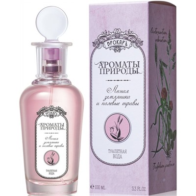 BROCARD ЛЕСНАЯ ЗЕМЛЯНИКА И ПОЛЕВЫЕ ТРАВЫ edt (w) 100ml