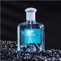 Туалетная вода мужская Colour essences Aquamarin, 100 мл (по мотивам Acqua Di Gio (G.Armani)