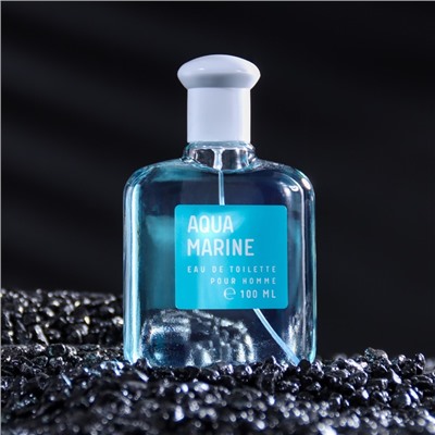 Туалетная вода мужская Colour essences Aquamarin, 100 мл (по мотивам Acqua Di Gio (G.Armani)