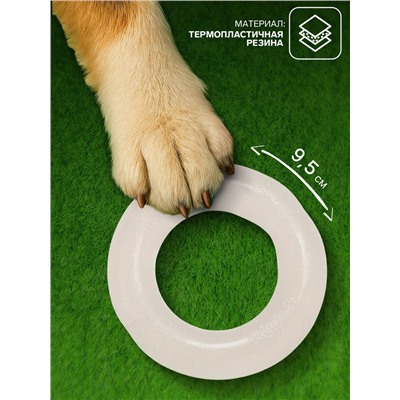 Игрушка для собак «Кольцо», светящаяся в темноте, 9.5 см