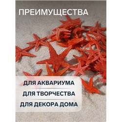 Набор натуральных морских звезд, 1,5-2 см, 20 шт, красный