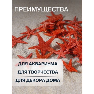 Набор натуральных морских звезд, 1,5-2 см, 20 шт, красный
