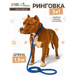 Ринговка для собак, 150×1.2 см, синяя